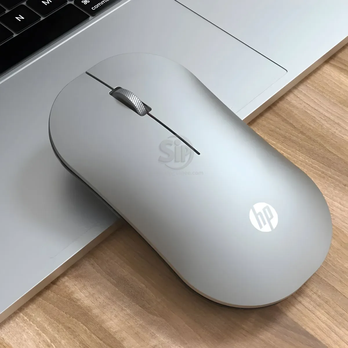Souris Sans Fil HP DM10 – Dual Mode (Bluetooth + USB 2.4G) - Variante